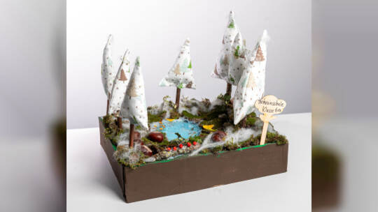 Bohrainschule Klasse 6a