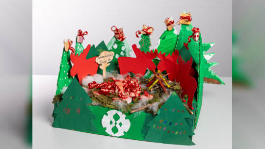 Bohrainschule Klasse 6b