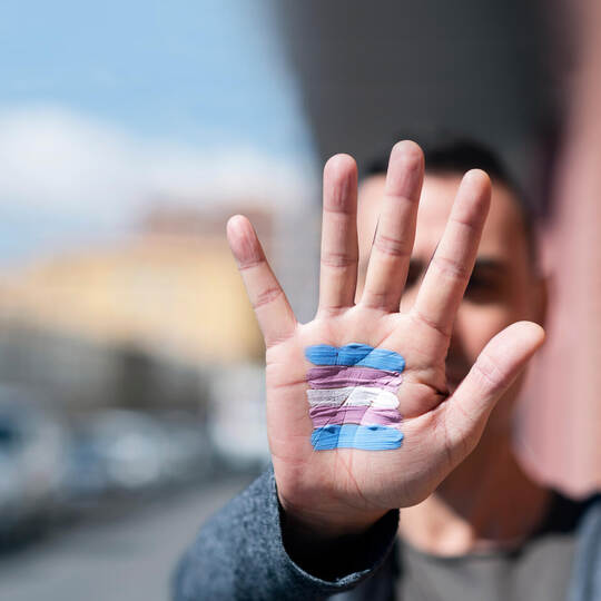 transgender flag in the palm of the hand