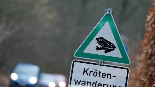 Amphibienschutzzaun im Niendorfer Gehege