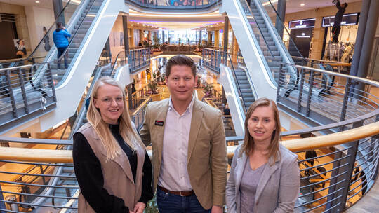 Schlössle Galerie Umbauten