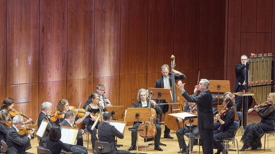 Südwestdeutsches Kammerorchester "Licht und Schatten".
