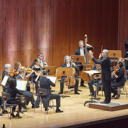Südwestdeutsches Kammerorchester "Licht und Schatten".