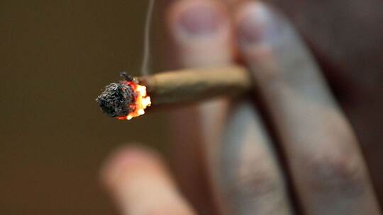 Cannabis