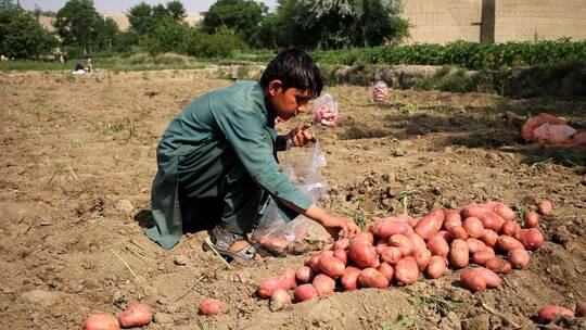 EU-Staaten stimmen für Lieferkettengesetz