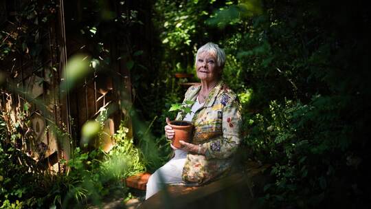 Judi Dench Judi Dench