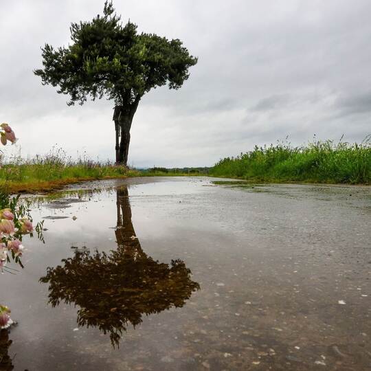Wetter in Baden-Württemberg