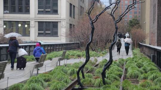 High Line