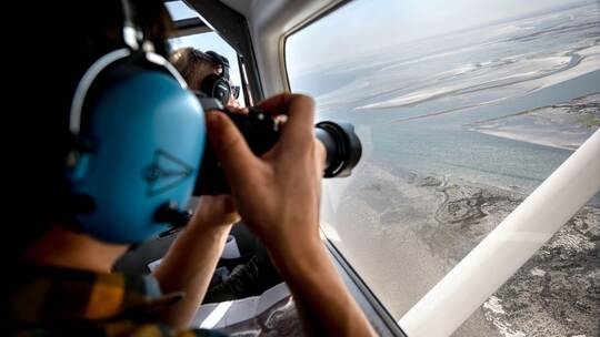 Seehundzählung im Wattenmeer Seehundzählung im Wattenmeer