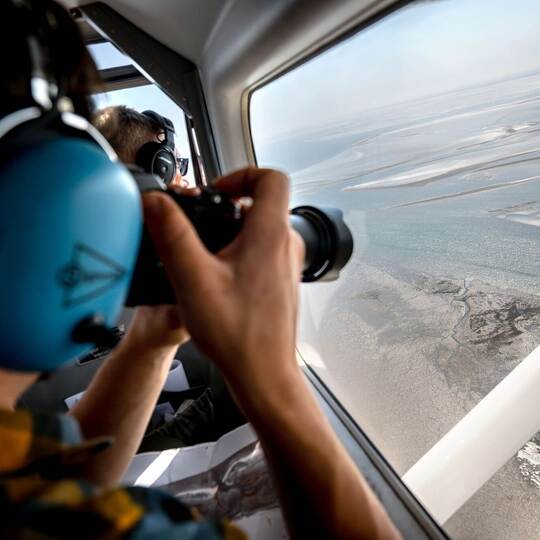 Seehundzählung im Wattenmeer