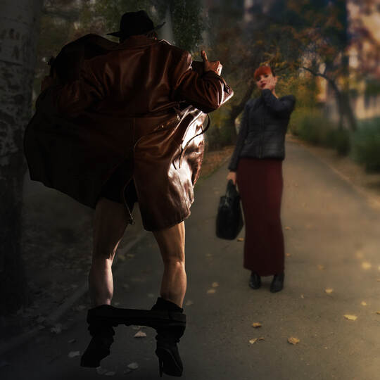 exhibitionist scares passersby