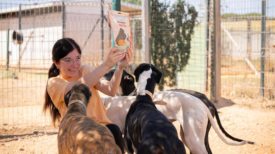 Das Füttern der Galgo-Windhunde macht der Tierliebhaberin und Hundefotografin sichtlich Spaß. Vor Ort werden die oft misshandelt