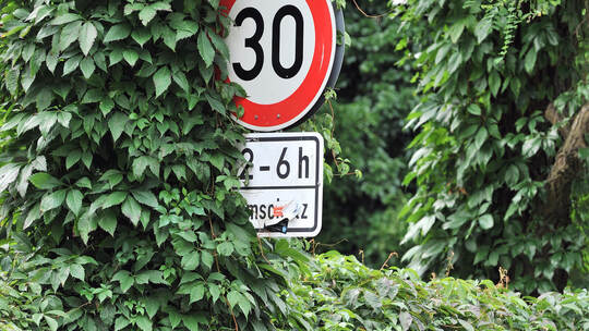 Verkehrsschild Tempo 30