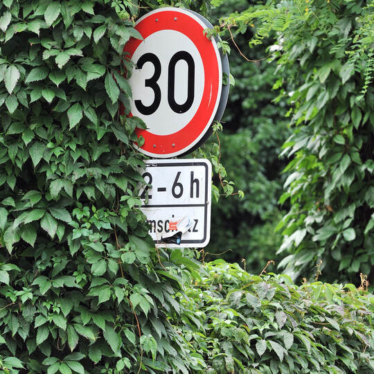 Verkehrsschild Tempo 30