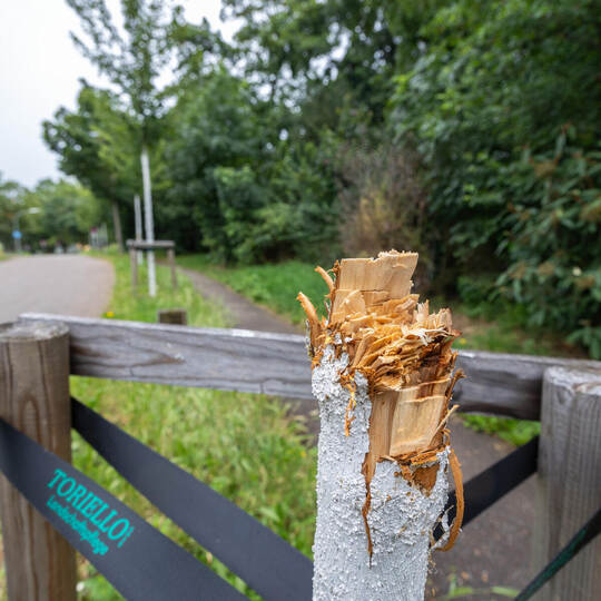 Vandalismus Wartbergallee