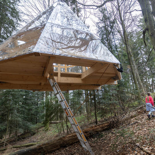 Baumhaus Einweihung Dobel
