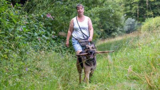 Davosweg ungemähte Wiese