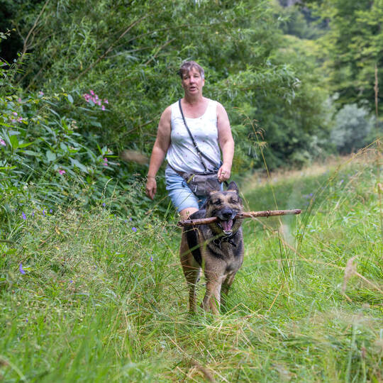 Davosweg ungemähte Wiese