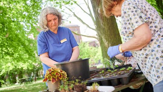 Gartentherapie ohne Medikamente Gartentherapie ohne Medikamente