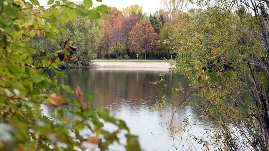 Baggersee Germersheim