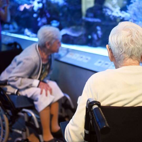 Museumsführung für Menschen mit Demenz