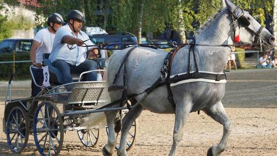 Lokalmatador Christian Füssinger vom gastgebenden insgesamt erfolgreichen Reit- und Fahrverein Königsbach mit der Kutsche um die