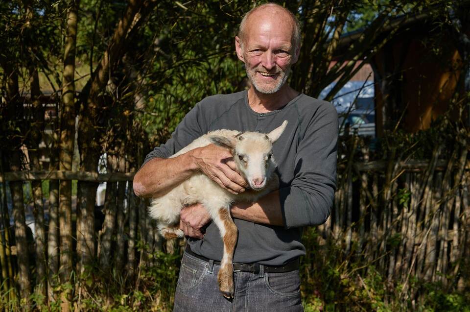 Schaf und Ziege zeugen mutmaßlich Schiege