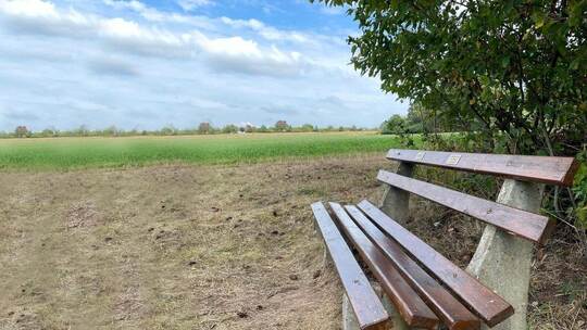 Bänke, die wie das „Rentnerbänkle“ am Ortsrand von Bieselsberg nahe bei einem Baum stehen, sind in Schömberg ins Visier der Geme