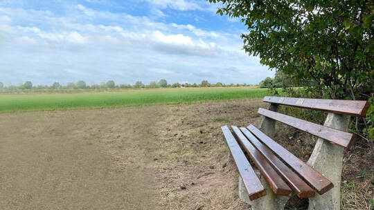 Sitzen auf eigene Gefahr: Wenn hier auf dem Bänkle am Ortsrand von Bieselsberg ein Ast auf jemanden fällt, ist nach dem neuen Ge