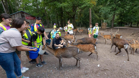 Sommerferienprogramm Caritas Wildpark