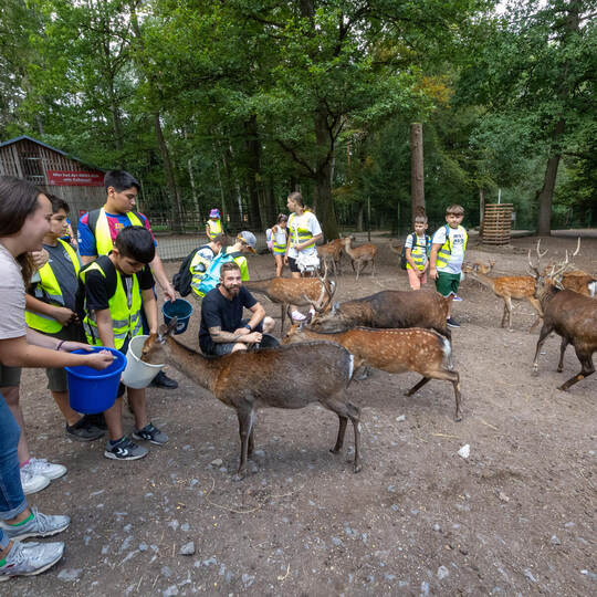 Sommerferienprogramm Caritas Wildpark