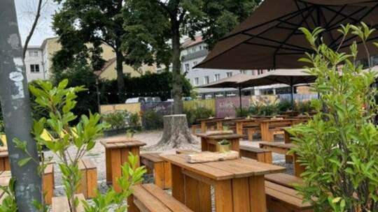 Nur noch ein Baumstumpf ist vom Silber-Ahorn beim Restaurant „Hans im Glück“ übrig. Foto: privat