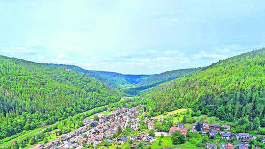 Höfen Luftbild