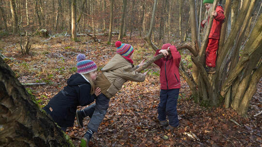 Waldkindergarten