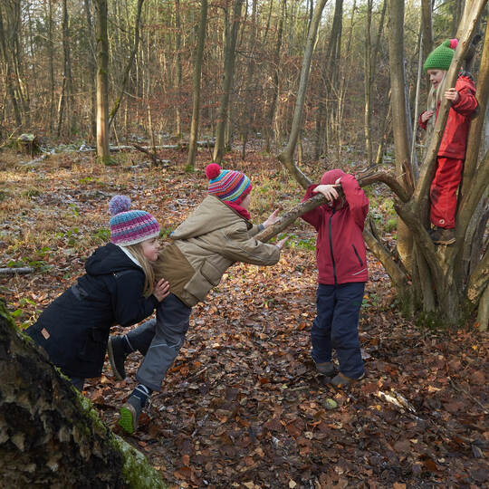 Waldkindergarten