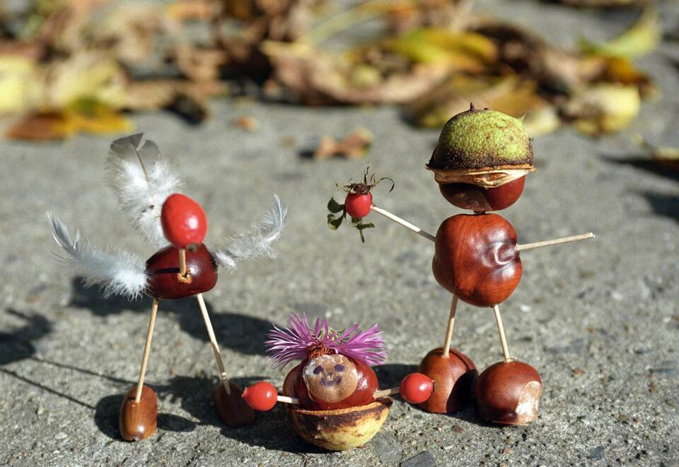 Was ist eigentlich so toll am Herbst? Was ist eigentlich so toll am Herbst?