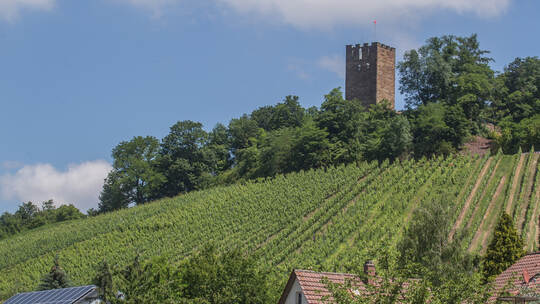 Sternenfels Schlossbergturm