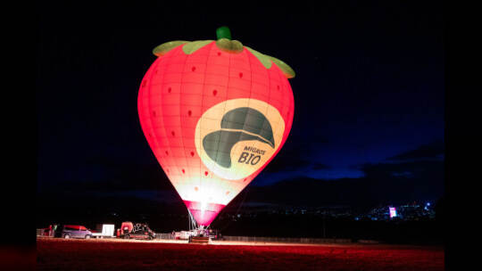German Cup Night Glow Samstag