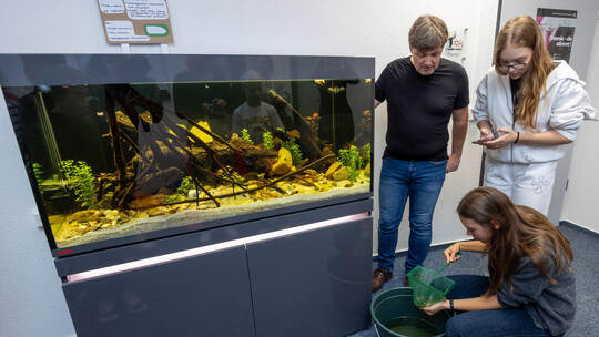 Workshop Schulaquarium Jugendforschungszentrum