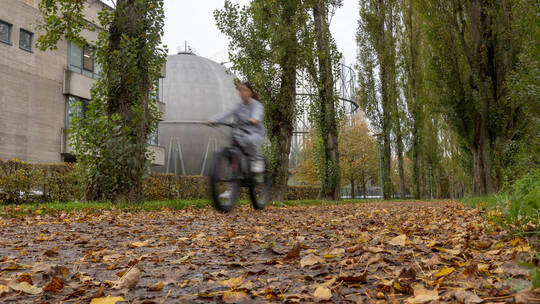 Hoyerswerder Ufer Fahrradweg
