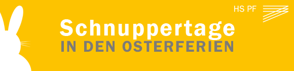 Link: https://businesspf.hs-pforzheim.de/schnuppervorlesungen